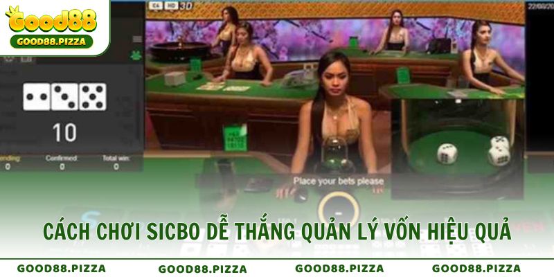 Cách chơi Sicbo dễ thắng quản lý vốn hiệu quả